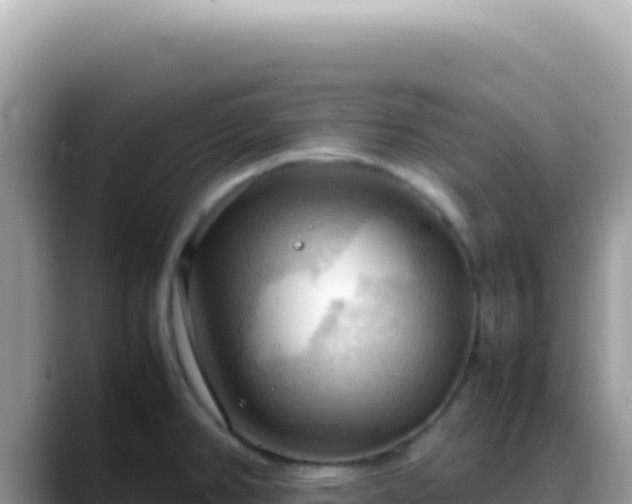 X0000088741382200706071651