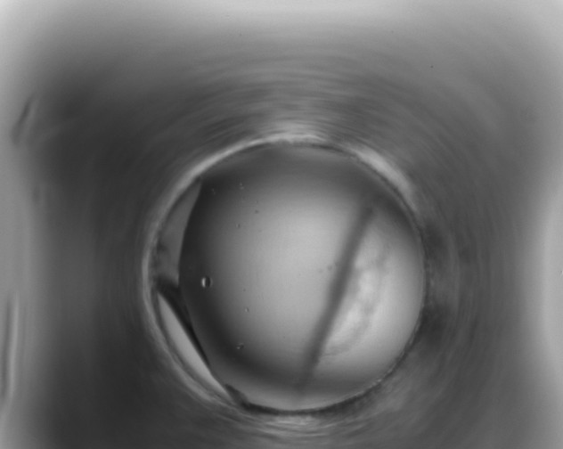 X0000088741383200706071651
