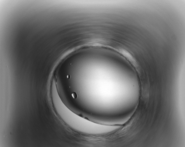 X0000088741384200706071651