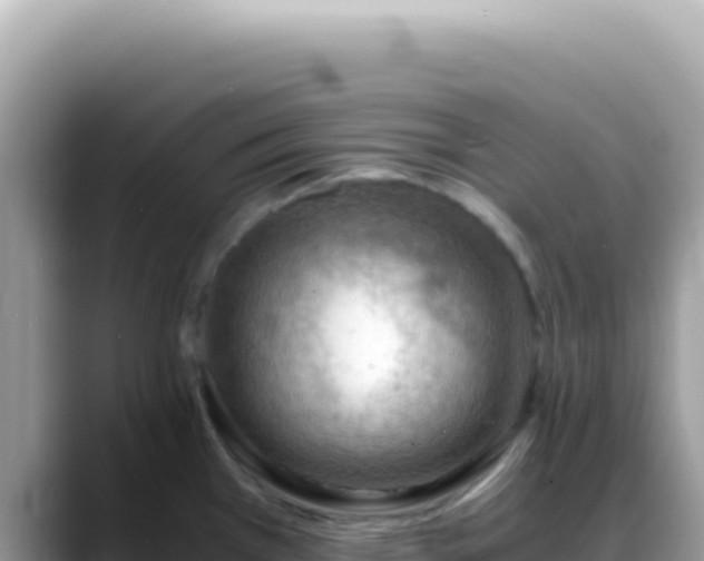 X0000088741385200706071651
