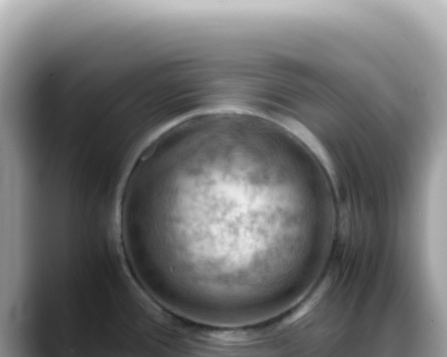 X0000088741388200706071651