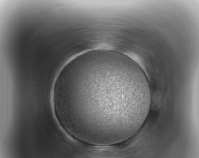 X0000088741391200706071651