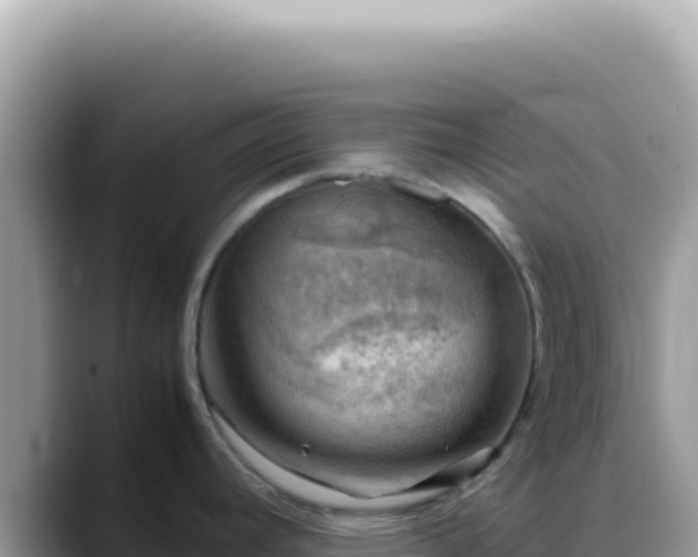 X0000088741392200706071651