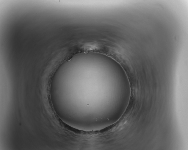 X0000088741393200706071650