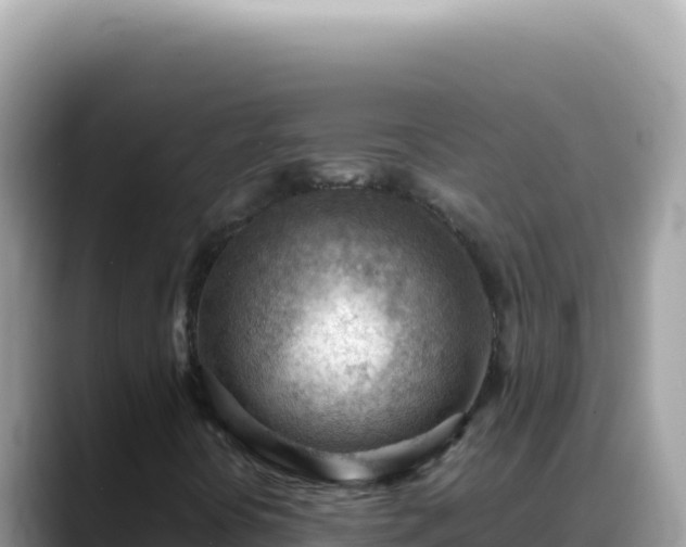 X0000088741394200706071650