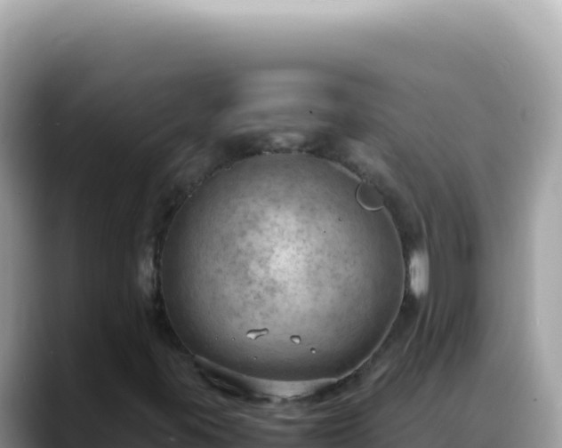 X0000088741395200706071650