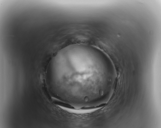 X0000088741397200706071650