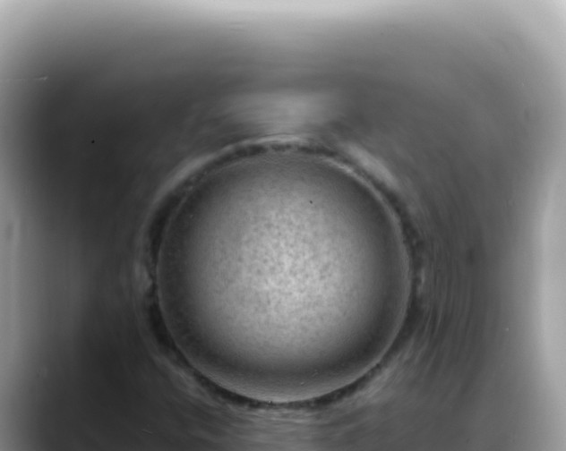 X0000088741400200706071650