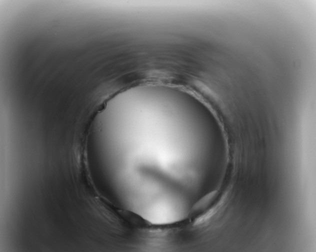 X0000088741401200706071650