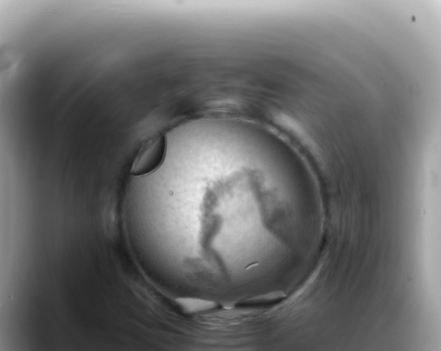 X0000088741403200706071650