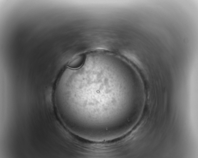 X0000088741404200706071650