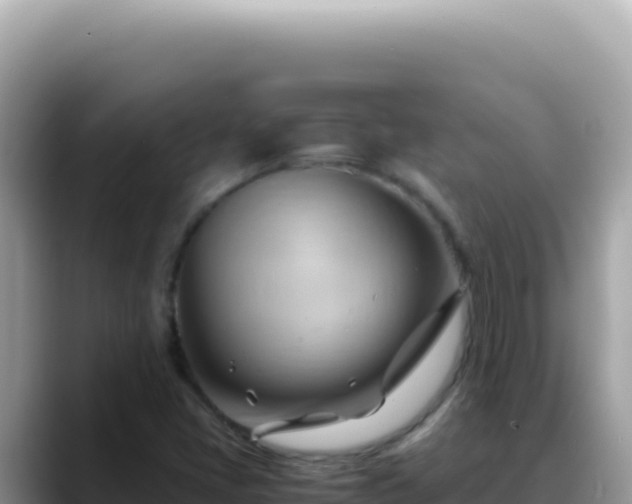 X0000088741405200706071650
