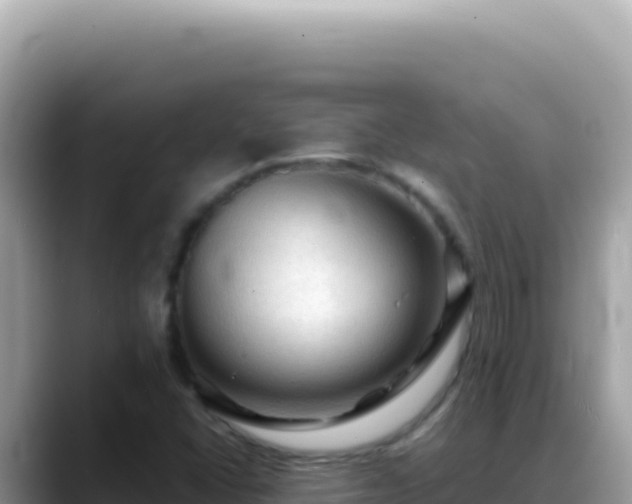 X0000088741406200706071650