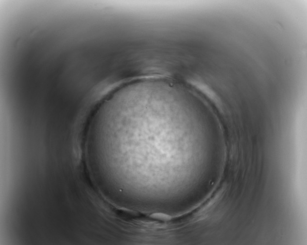 X0000088741407200706071650
