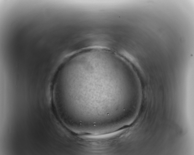 X0000088741408200706071650