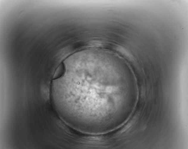 X0000088741409200706071650