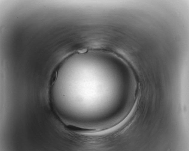 X0000088741410200706071651