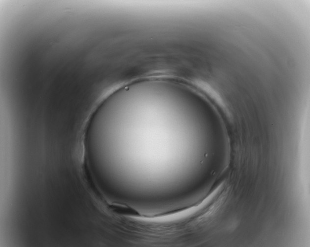 X0000088741413200706071651