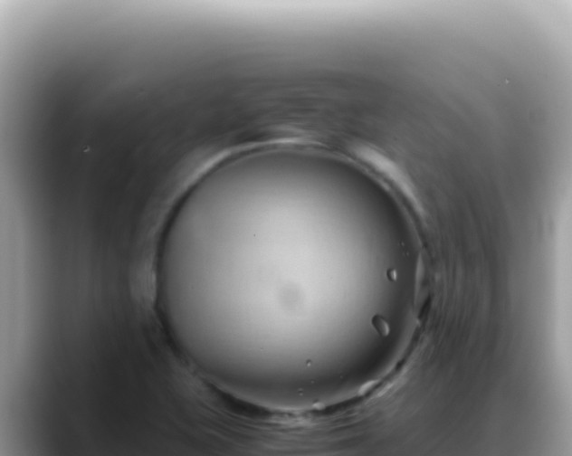 X0000088741415200706071651