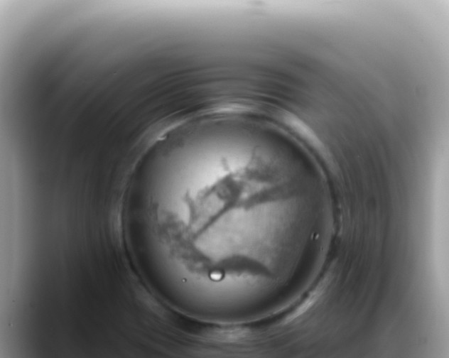 X0000088741417200706071651