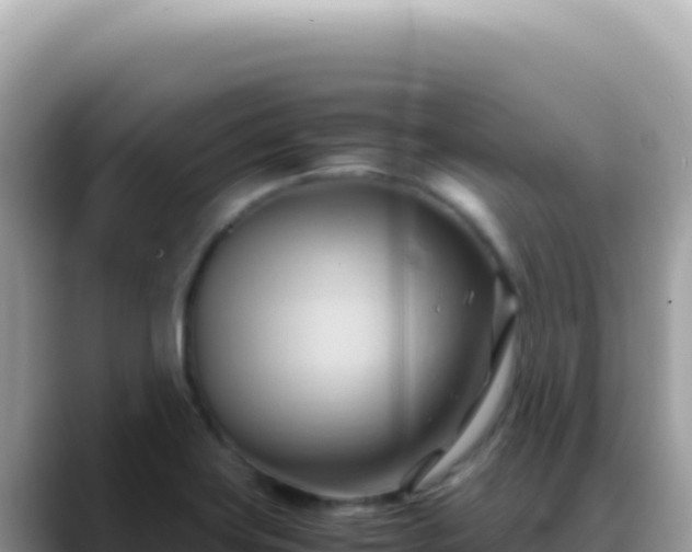 X0000088741419200706071651