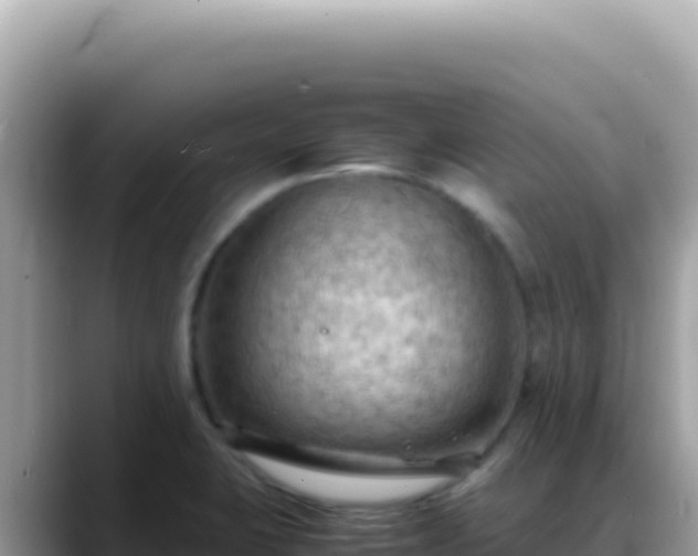X0000088741423200706071651
