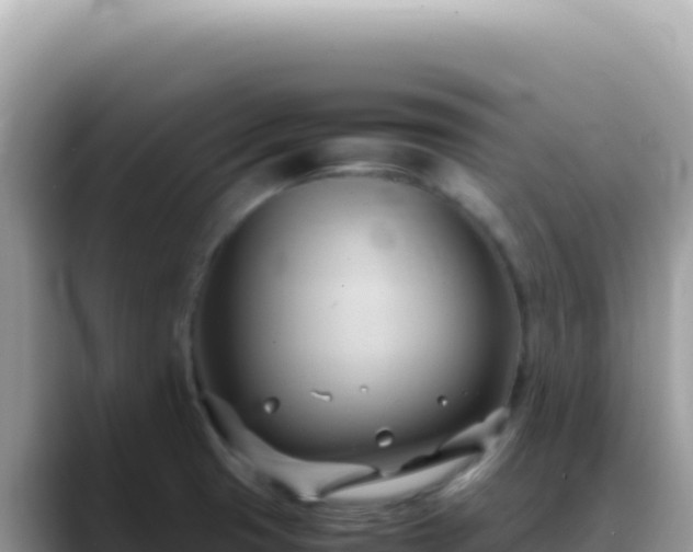 X0000088741425200706071651