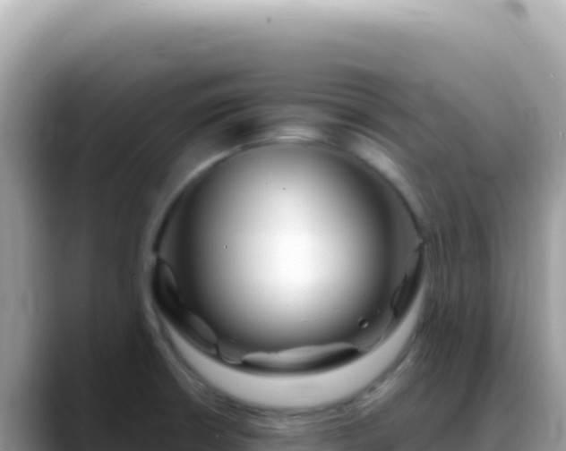 X0000088741426200706071651