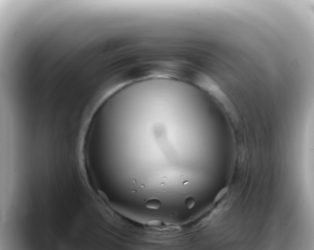 X0000088741427200706071651