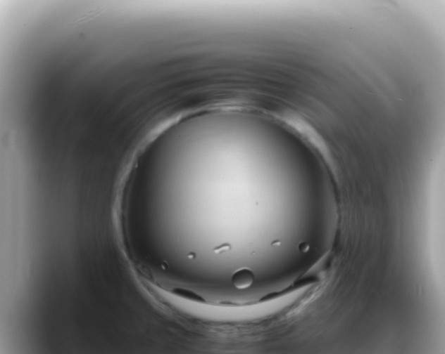 X0000088741429200706071651