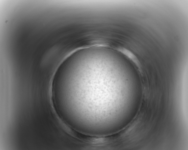 X0000088741431200706071651