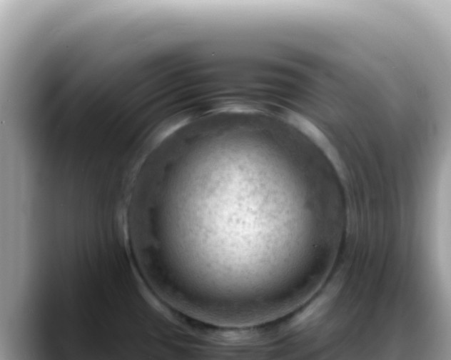 X0000088741433200706071651
