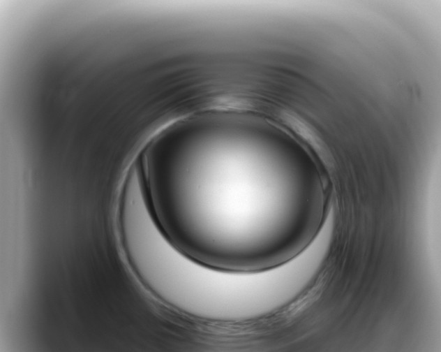 X0000088741434200706071651