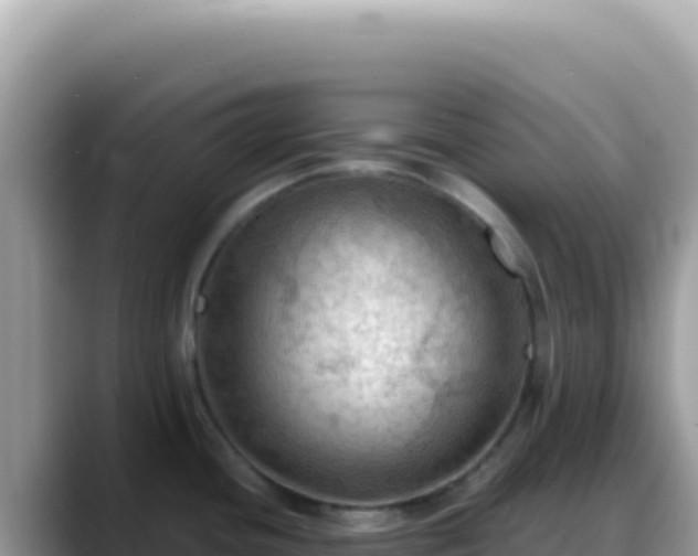 X0000088741436200706071651