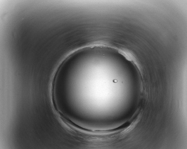 X0000088741438200706071651