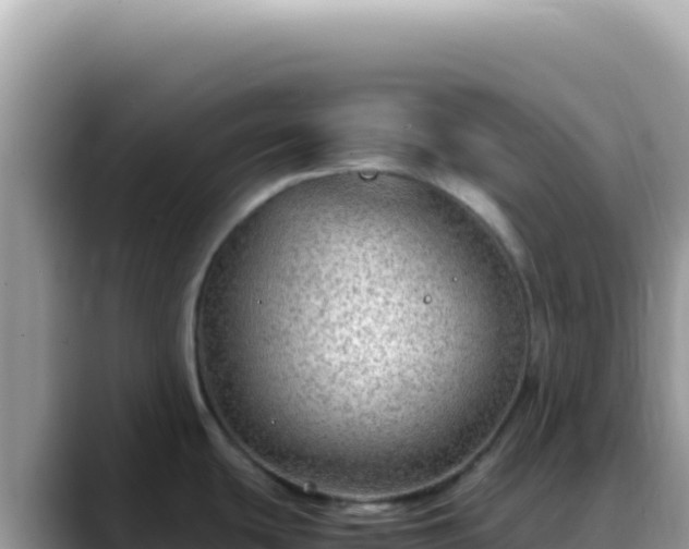 X0000088741439200706071651