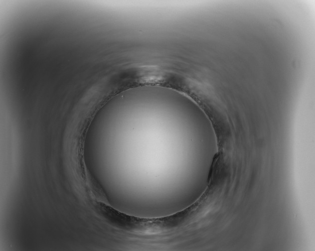 X0000088741441200706071650