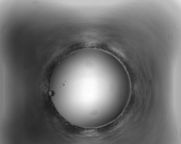 X0000088741447200706071650