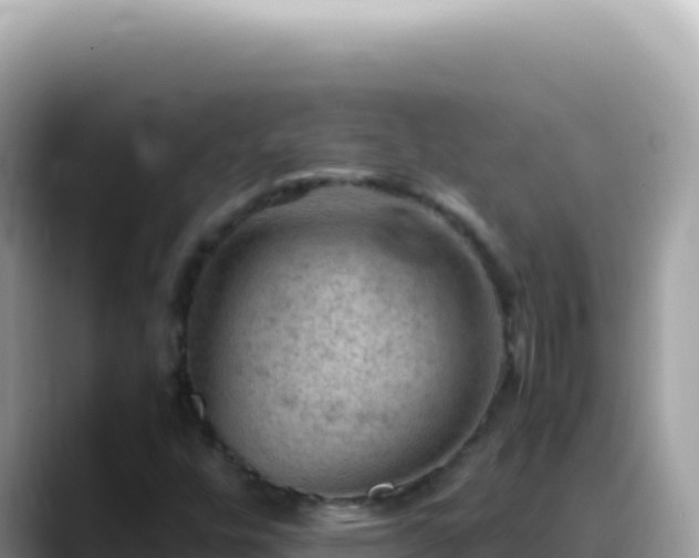 X0000088741448200706071650