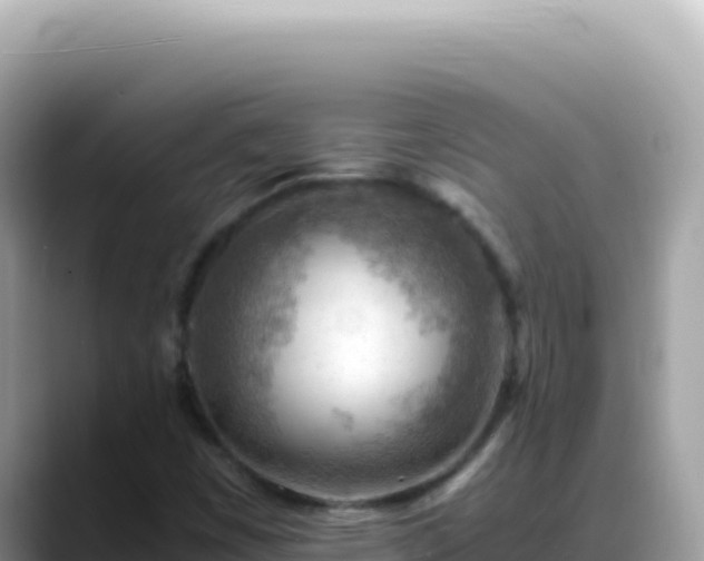 X0000088741449200706071650