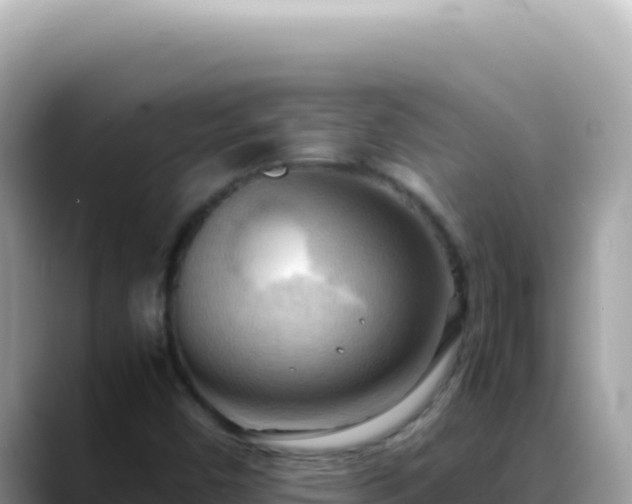 X0000088741450200706071650