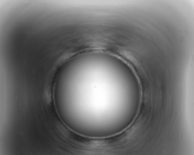 X0000088741451200706071650