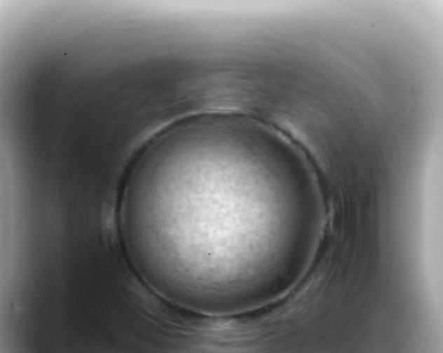 X0000088741452200706071650