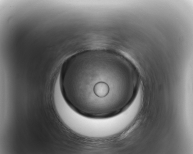 X0000088741453200706071650