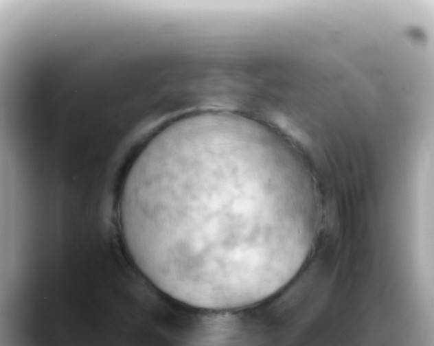 X0000088741454200706071650