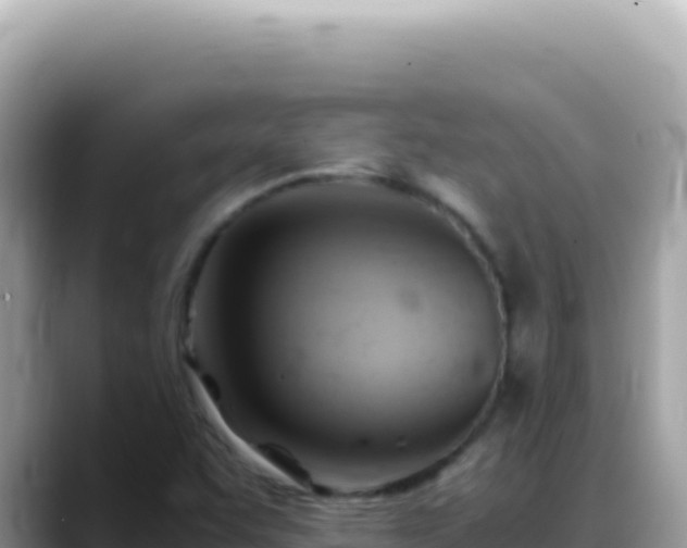 X0000088741455200706071650