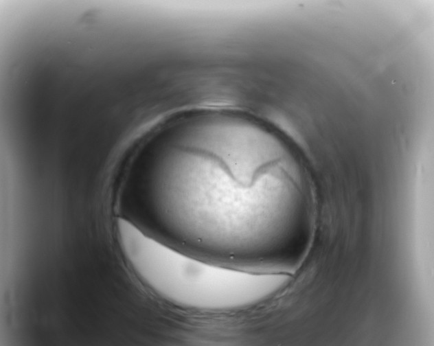 X0000088741456200706071650