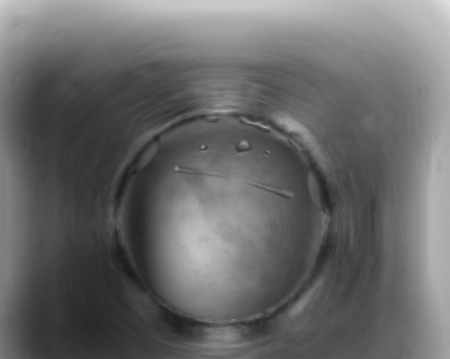 X0000088741457200706071650