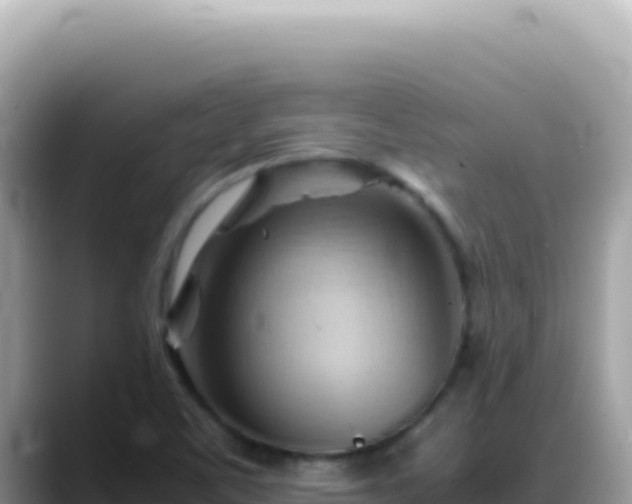 X0000088741459200706071650