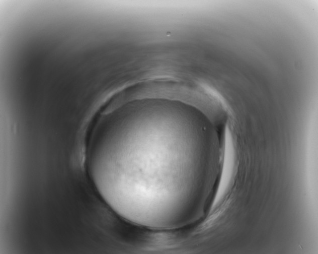 X0000088741461200706071650